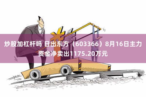 炒股加杠杆吗 日出东方（603366）8月16日主力资金净卖出1175.20万元