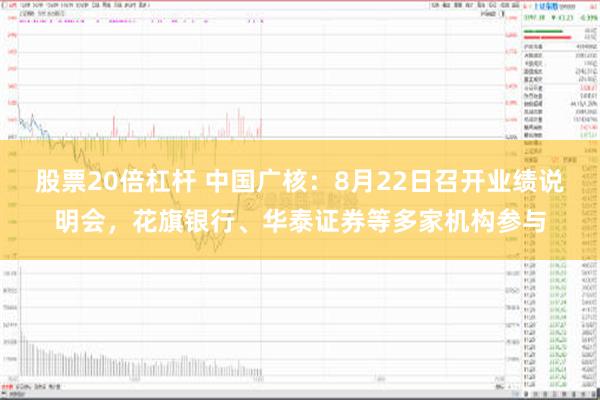 股票20倍杠杆 中国广核：8月22日召开业绩说明会，花旗银行、华泰证券等多家机构参与