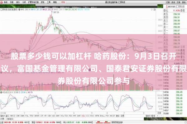 股票多少钱可以加杠杆 哈药股份：9月3日召开分析师会议，富国基金管理有限公司、国泰君安证券股份有限公司参与