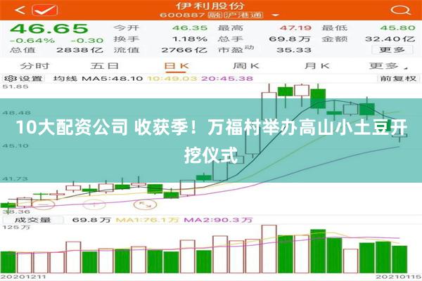 10大配资公司 收获季！万福村举办高山小土豆开挖仪式