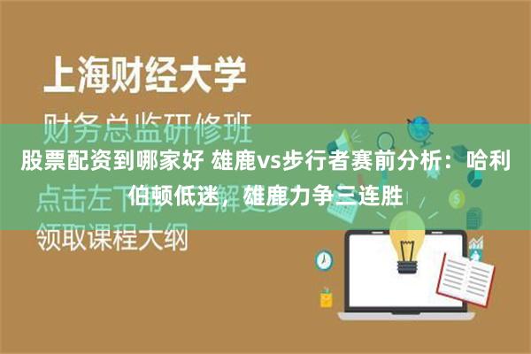 股票配资到哪家好 雄鹿vs步行者赛前分析：哈利伯顿低迷，雄鹿力争三连胜