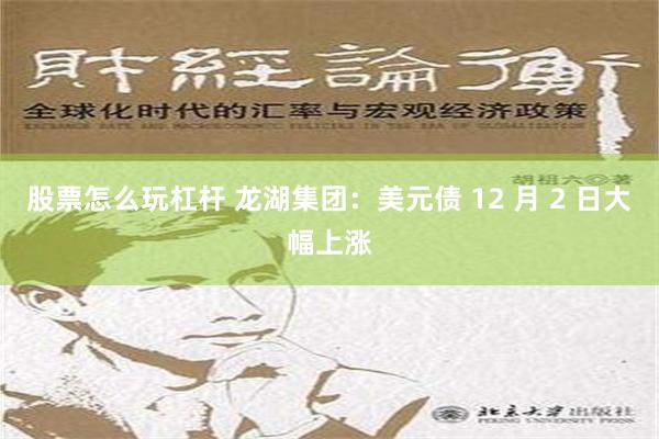 股票怎么玩杠杆 龙湖集团：美元债 12 月 2 日大幅上涨