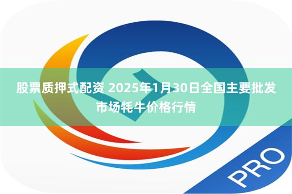 股票质押式配资 2025年1月30日全国主要批发市场牦牛价格行情