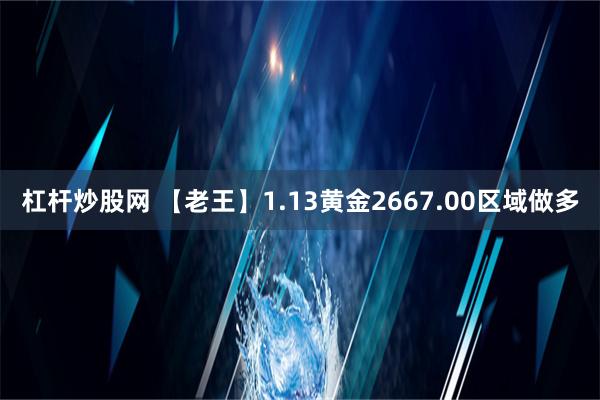 杠杆炒股网 【老王】1.13黄金2667.00区域做多