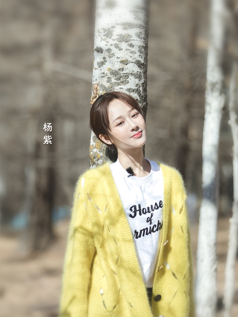 杨紫