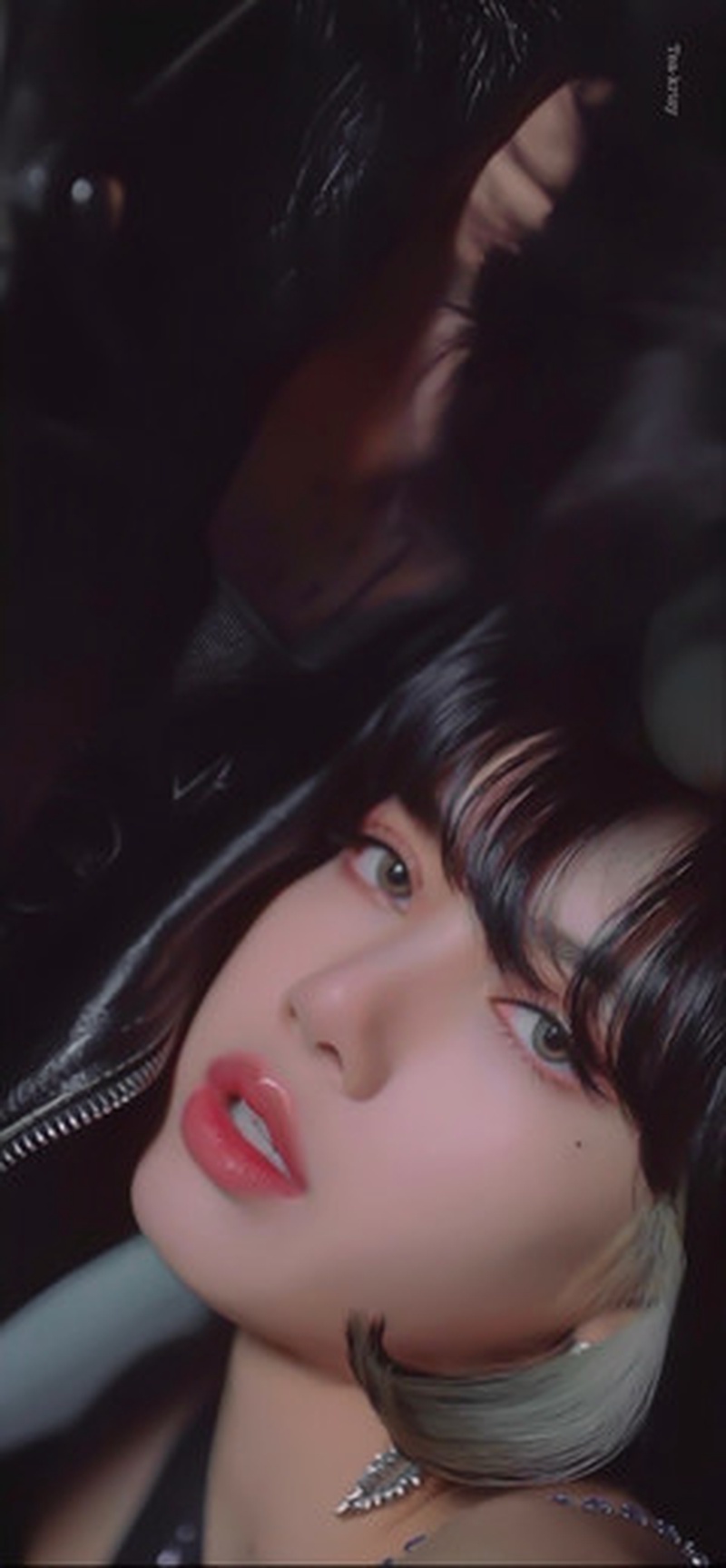Lisa